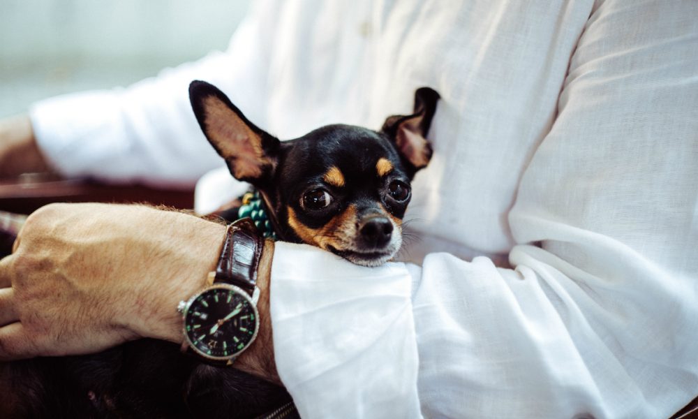 How to Attract Rich Men How to Attract Rich Men