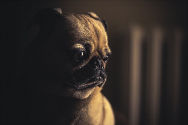 What Do I Do When I Run out of Hope? What Do I Do When I Run out of Hope?