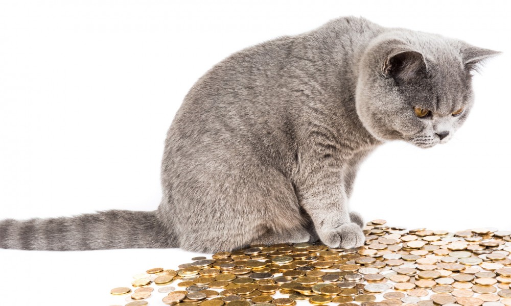 Your Pricing Strategy Is Wrong If You Aren’t Doing This Your Pricing Strategy Is Wrong If You Aren’t Doing This
